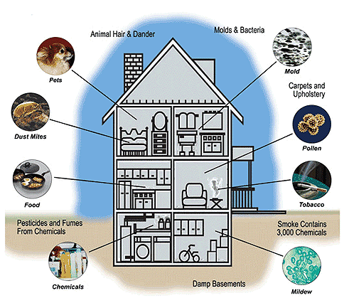 IMAGE CREDIT: Floridahealth.gov (we do not own the rights to this image)